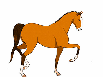 在奔跑的马动画gif素材:骏马