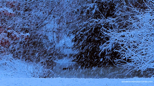 山林雪景动态图片:雪景
