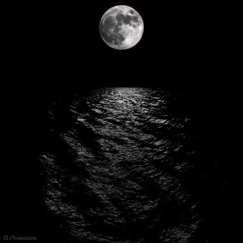 海上的月色唯美图片:月亮