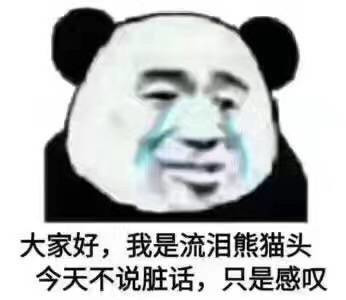 大家好我是流泪的熊猫头表情图片