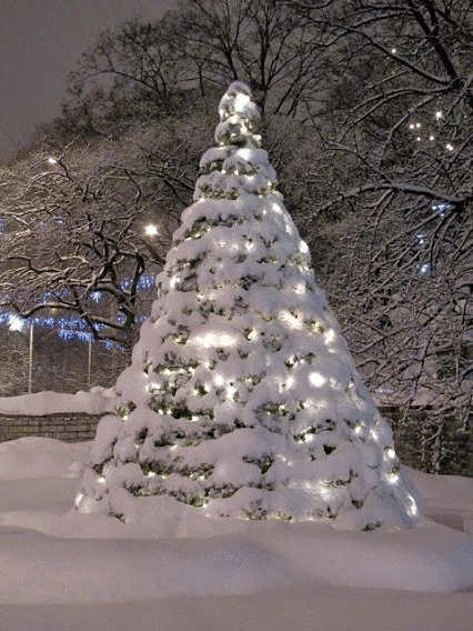 雪堆圣诞树动态图:圣诞树
