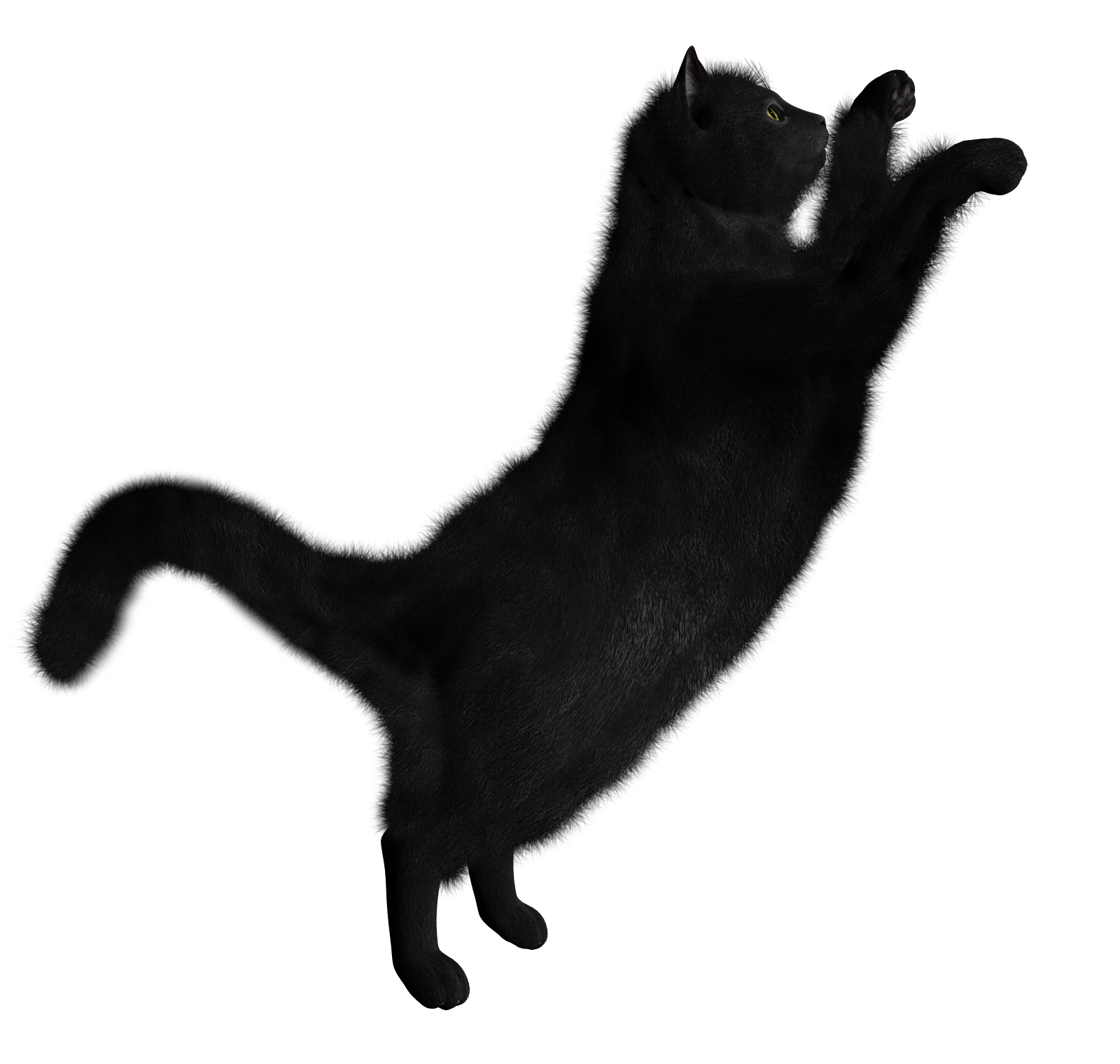 跳跃的黑猫PNG图片