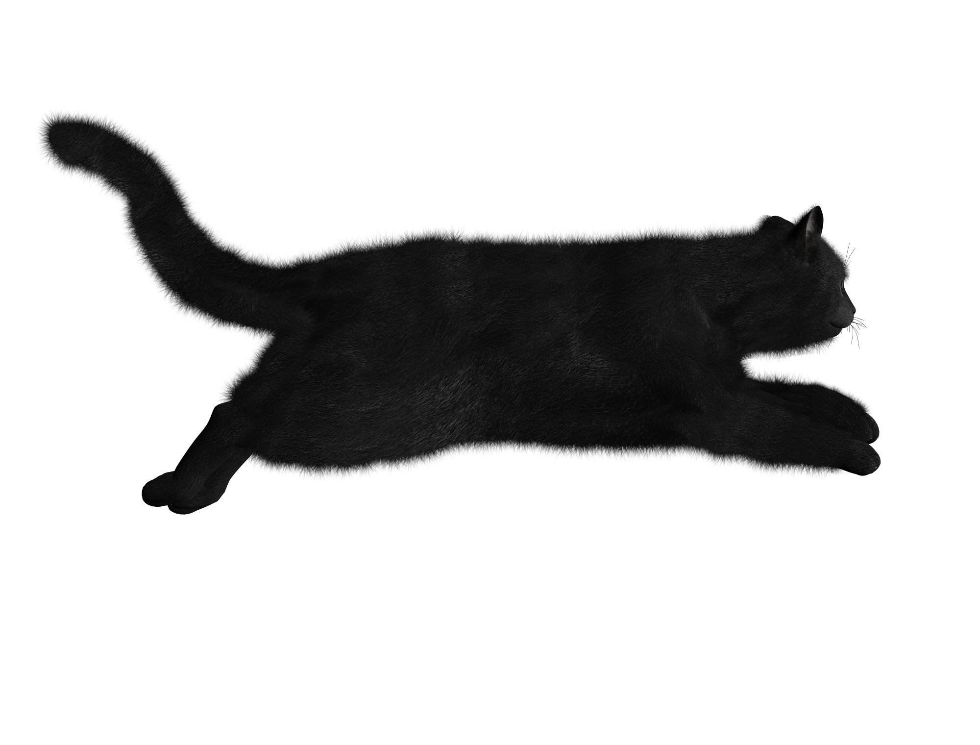 奔跑的黑猫PNG图片
