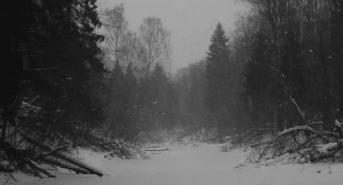 林中暴雪gif图片:雪景