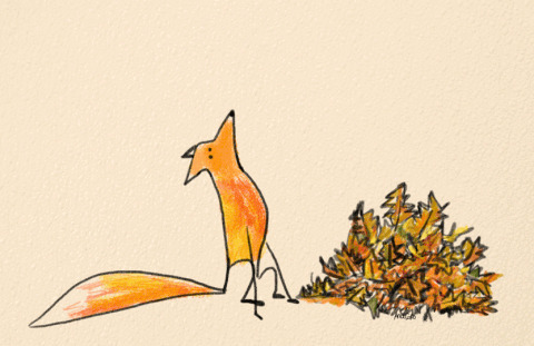 卡通狐狸gif图片:狐狸