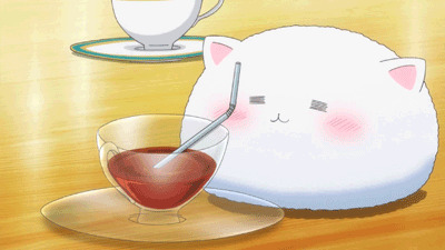 小胖猫喝酒动画图片:猫猫