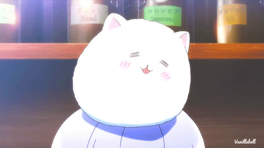 吃饱喝足小胖猫动画图片:猫猫