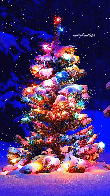 创意圣诞树唯美动态图:圣诞节