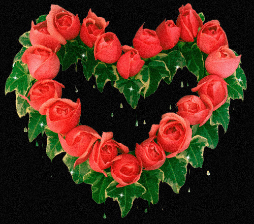 心型玫瑰花环唯美图片:花环