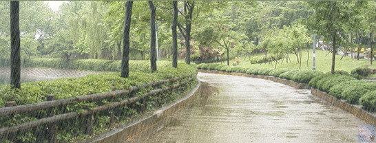 幽静公园雨景动态图:雨景