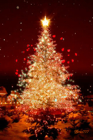 超唯美圣诞树gif图:圣诞节