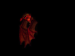 黑夜蝙蝠动态图片