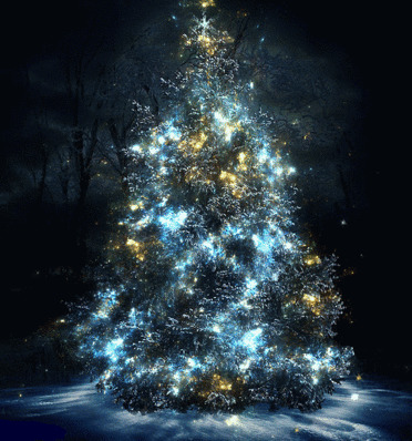 亮星璀璨圣诞树唯美图片