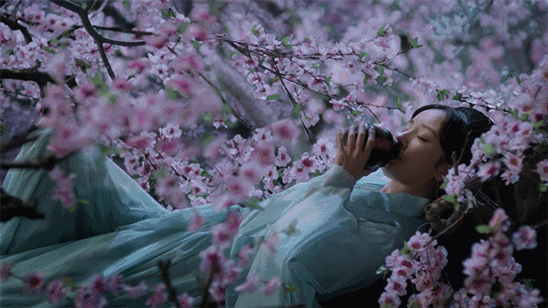 伤心的女人躺在桃花枝上喝酒动态图片:喝酒