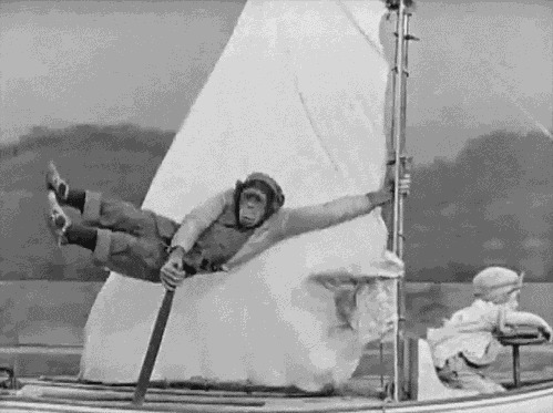 飞艇上的大猩猩动态图片:大猩猩