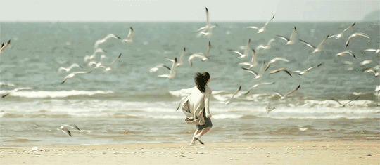 美女海边追海鸥动态图片:海鸥