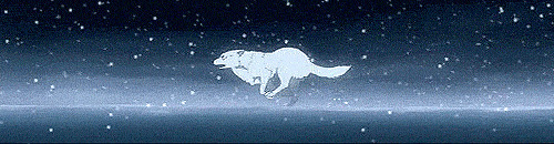 冰天雪地的夜晚孤狼奔跑动态图片