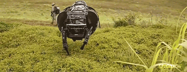 机器人狗狗草地行走gif图片:机器人