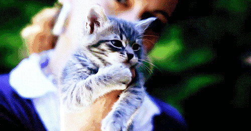 小猫猫舔手掌动态图片:小猫咪