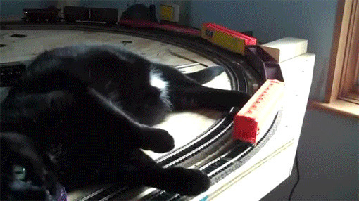 淘气的小猫咪躺在玩具火车上动态图片:猫猫