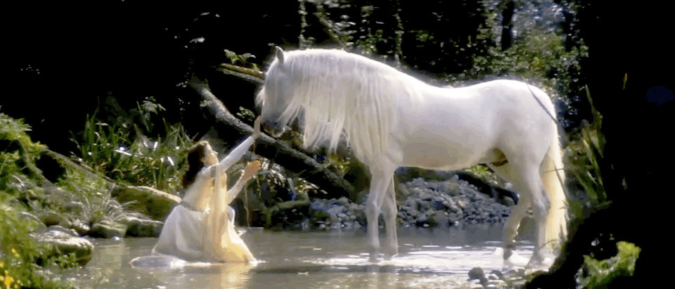 小女孩与白马在小溪边玩耍GIF图片