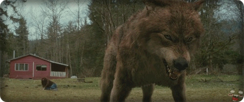 奔跑的男人变成了一只恶狼GIF图片:恶狼