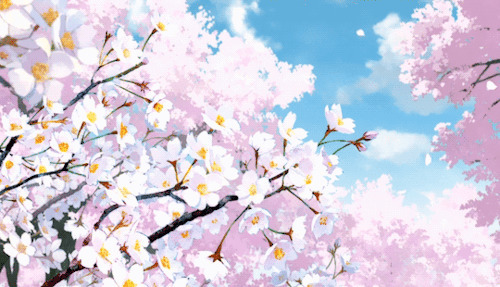 美丽的樱花高清gif图片:樱花