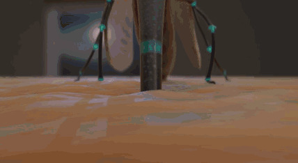 超级卡通大蚊子gif图片