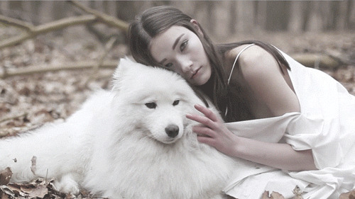 穿白裙子的女神与一只白毛狗狗gif图片