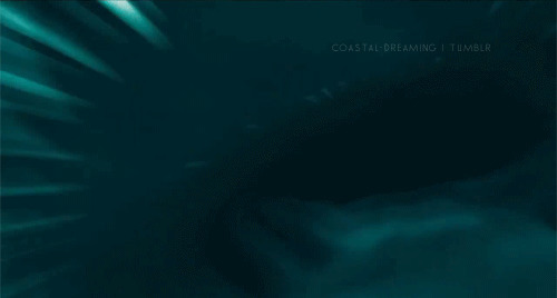 海洋馆的大鲨鱼GIF图片:鲨鱼