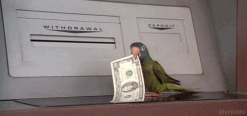 鹦鹉取钱GIF图片:鹦鹉