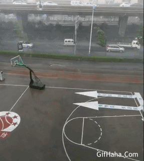 行走的篮球架搞笑图片:台风