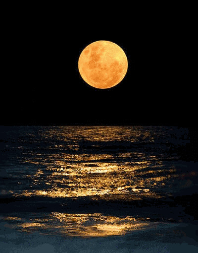 海上黄月亮gif图:月亮