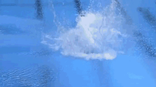 跳水运动员坑教练闪图:跳水