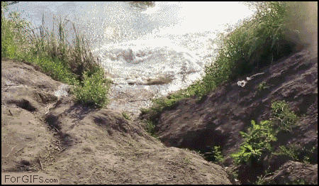 骑快车摔下湖搞笑图片:落水