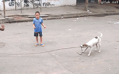 狗狗咬跳绳搞笑图片:狗狗