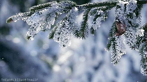 银色瑞雪世界gif图:雪景
