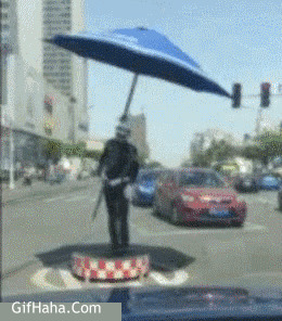 会飞的太阳伞搞笑图片