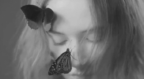 少女和蝴蝶动态图:蝴蝶