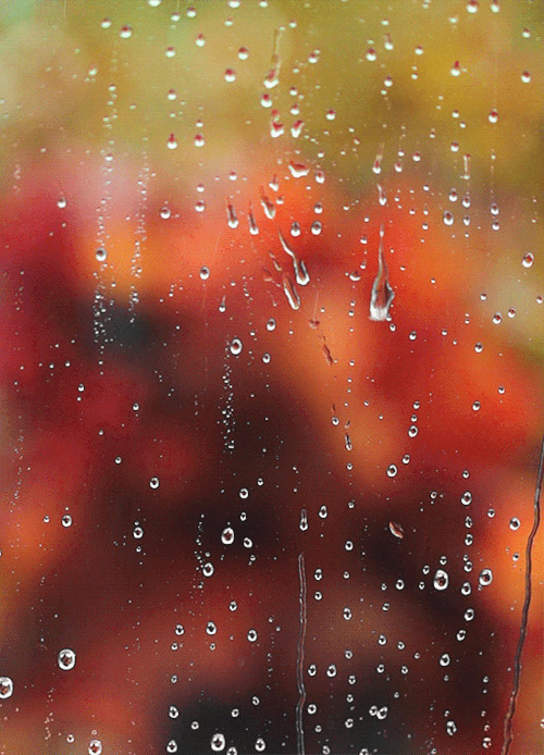 玻璃上的雨水gif图:雨水