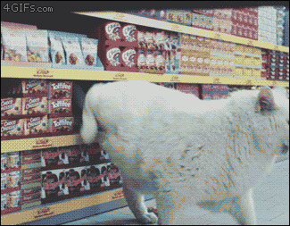猫咪超市捣蛋搞笑图片
