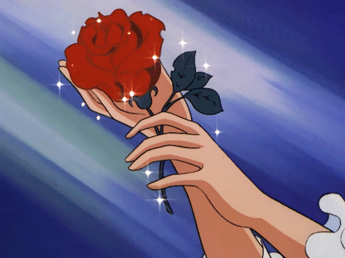 送上一朵玫瑰动画图片:玫瑰花
