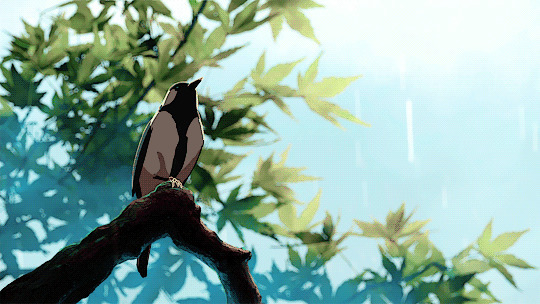雨中枝头小鸟动画图片:小鸟