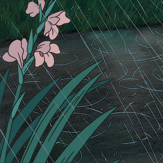 风雨中的野花动画图片:野花