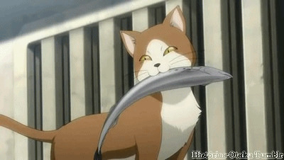 猫咪叼着鱼动画图片:猫猫