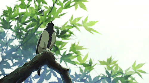 树上一只鸟动画图片:小鸟