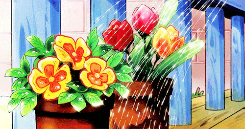 鲜花浇水动画图片:浇花