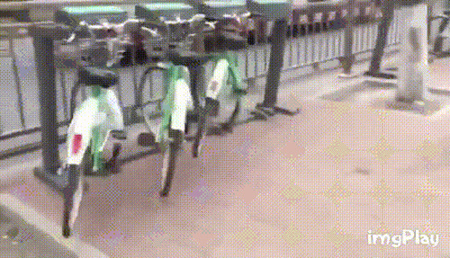 共享单车跳舞搞笑图片:单车