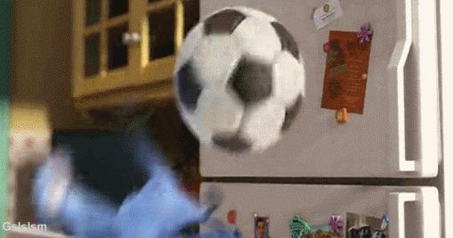 鹦鹉踢足球动态图片:足球