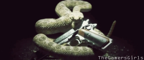 蛇与手枪的故事动态图片
